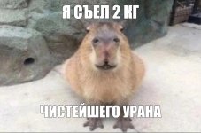 1766613984859.jpeg