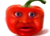 1770208316489.png