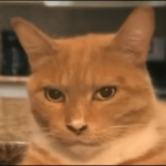 1771547598056.png