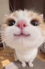 dfce8668127386f2971241345389b2c6.jpg dfce8668127386f2971241345389b2c6.jpg