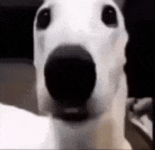 1787670942681.png 1787670942681.png