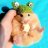 Hamster3533